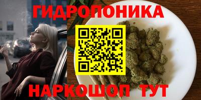 ПСИЛОЦИБИНОВЫЕ ГРИБЫ Нальчик