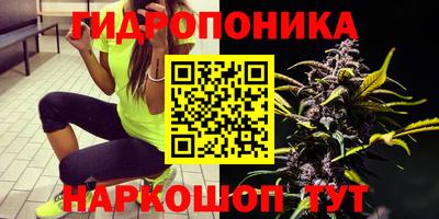 ПСИЛОЦИБИНОВЫЕ ГРИБЫ Нальчик